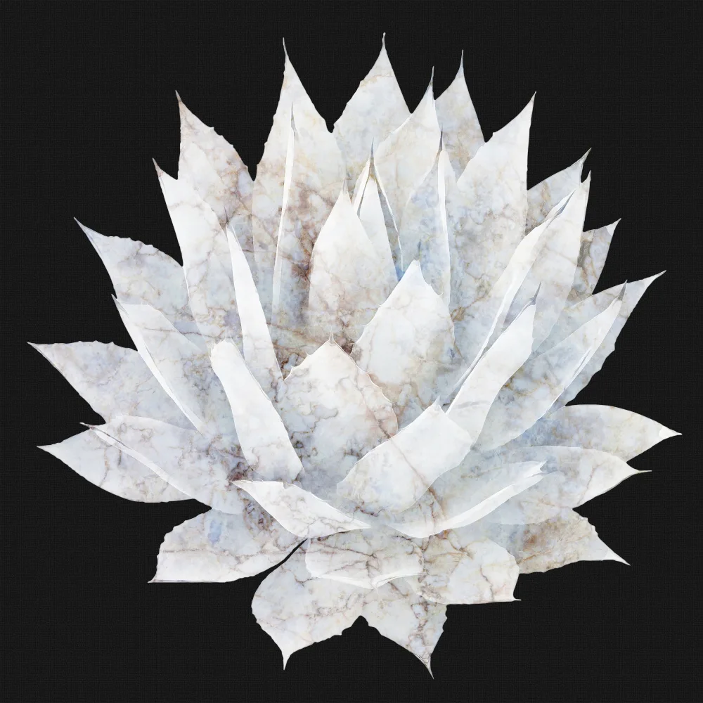 amini54: Agave 05