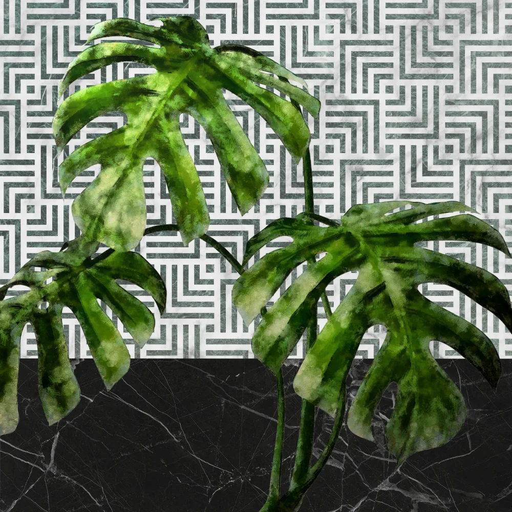 amini54: Feuilles de Monstera sur mur carrelé