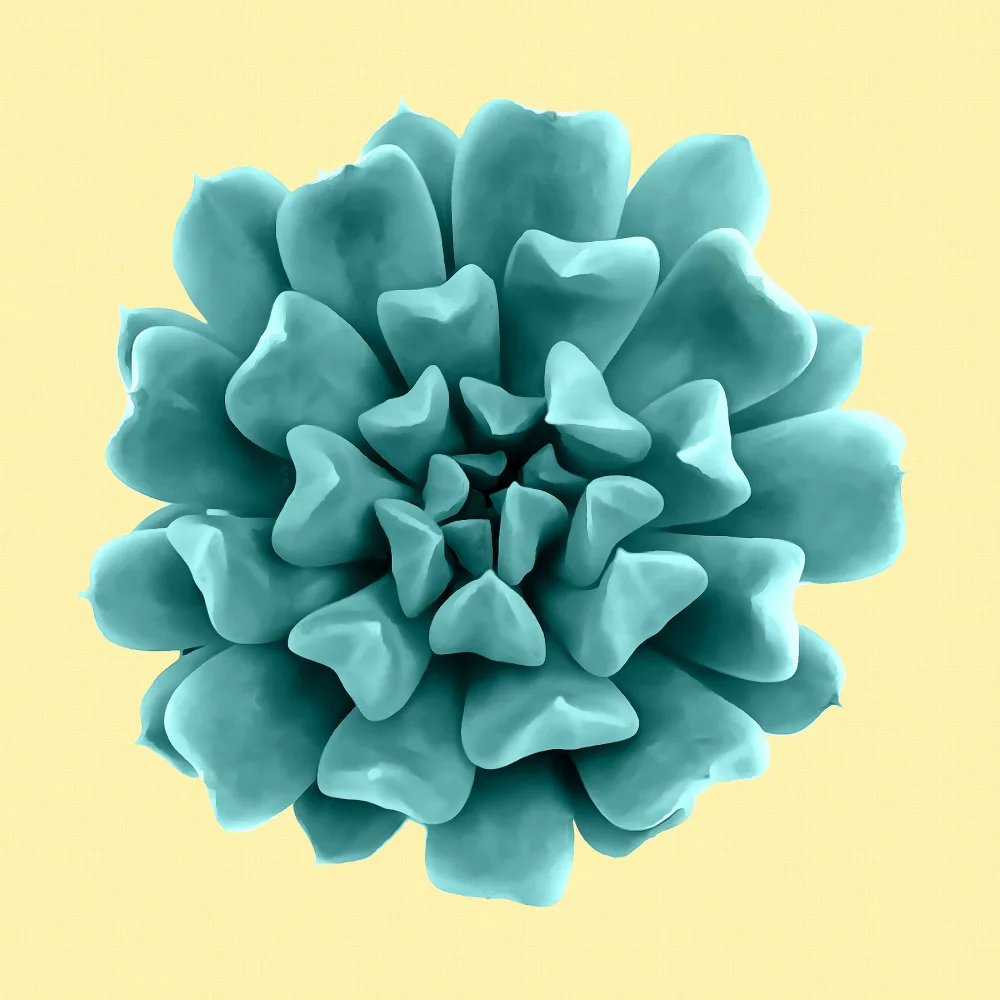amini54: Teal Succulents on Yellow