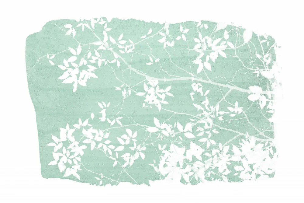 amini54: Silhouette de feuillage d'arbre à la menthe