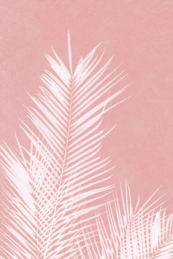 amini54: Palm Leaves On Pink Silhouette II