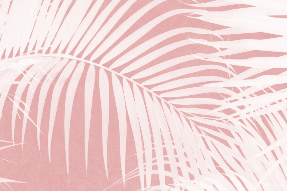 amini54: Palm Leaves On Pink Silhouette IV