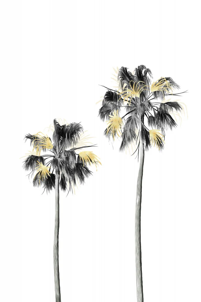 amini54: Palm Tree Black, White and Gold 01