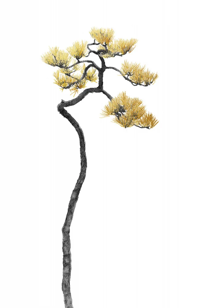amini54: Bonsai Tree 05