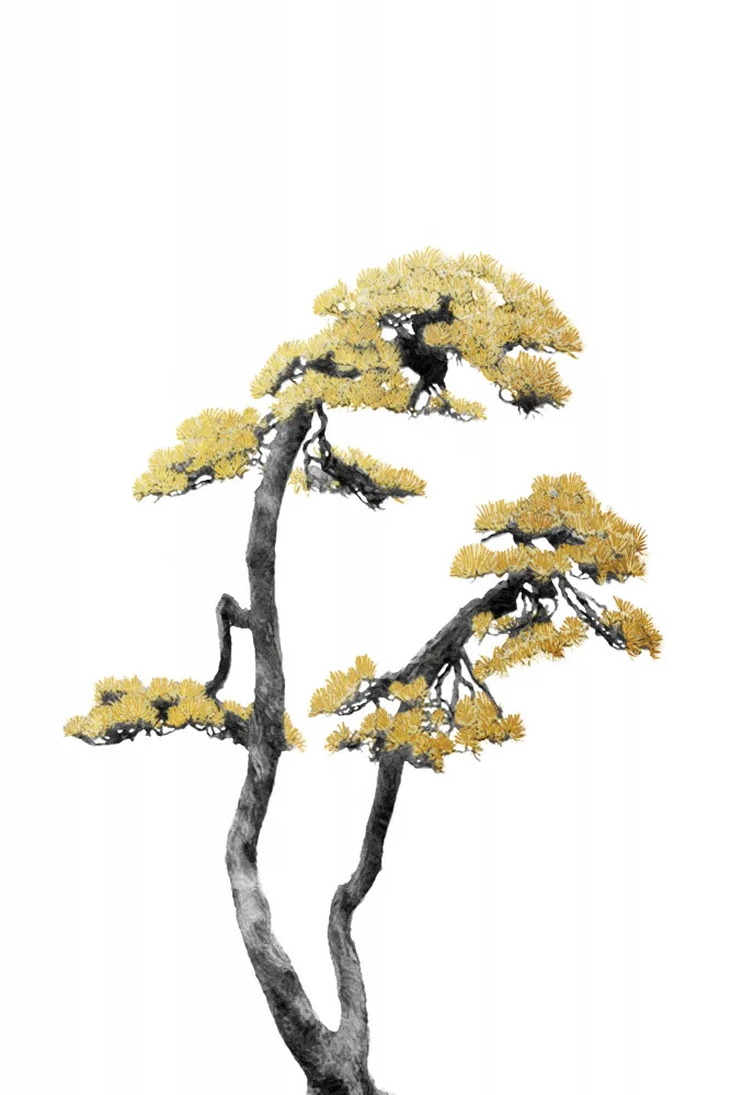 amini54: Bonsaï 06