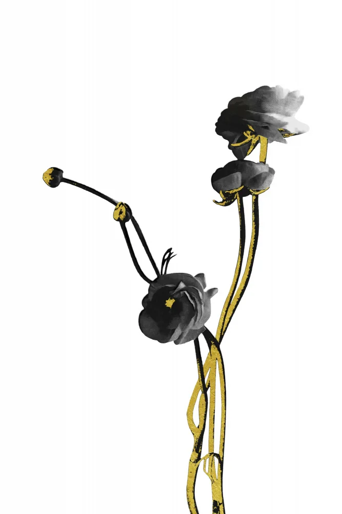 amini54: Flower Minimal Black and Gold 04