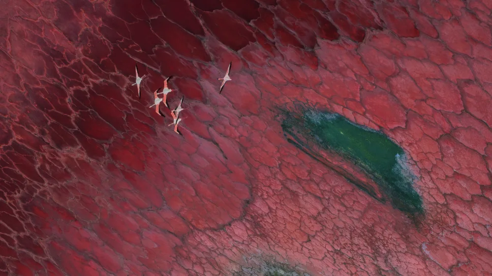 LI, MIN: Fly over red world