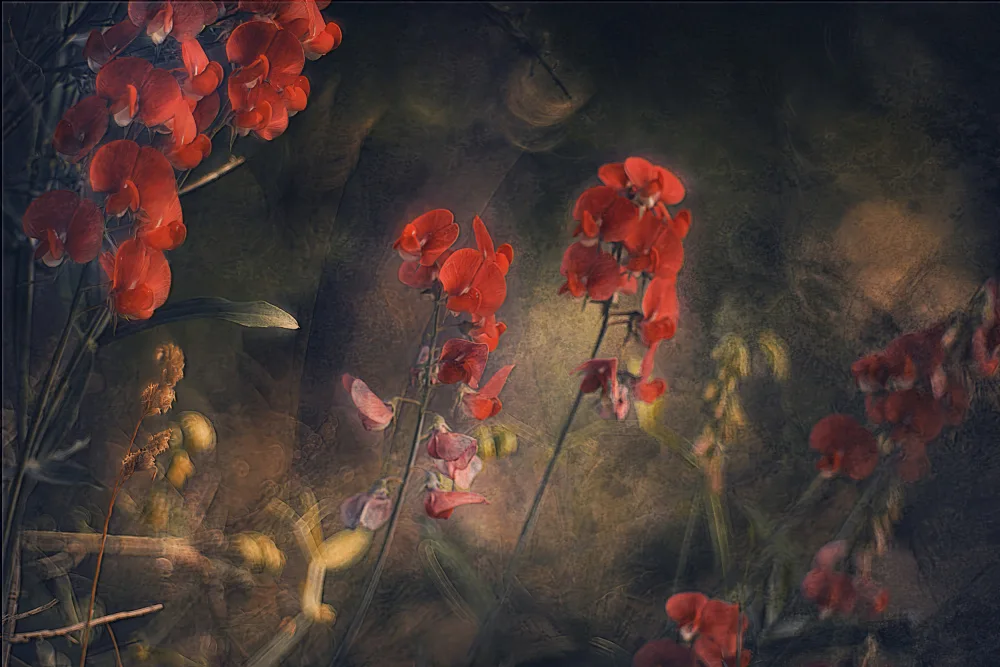 Linden, van Jan: Floral pleasure