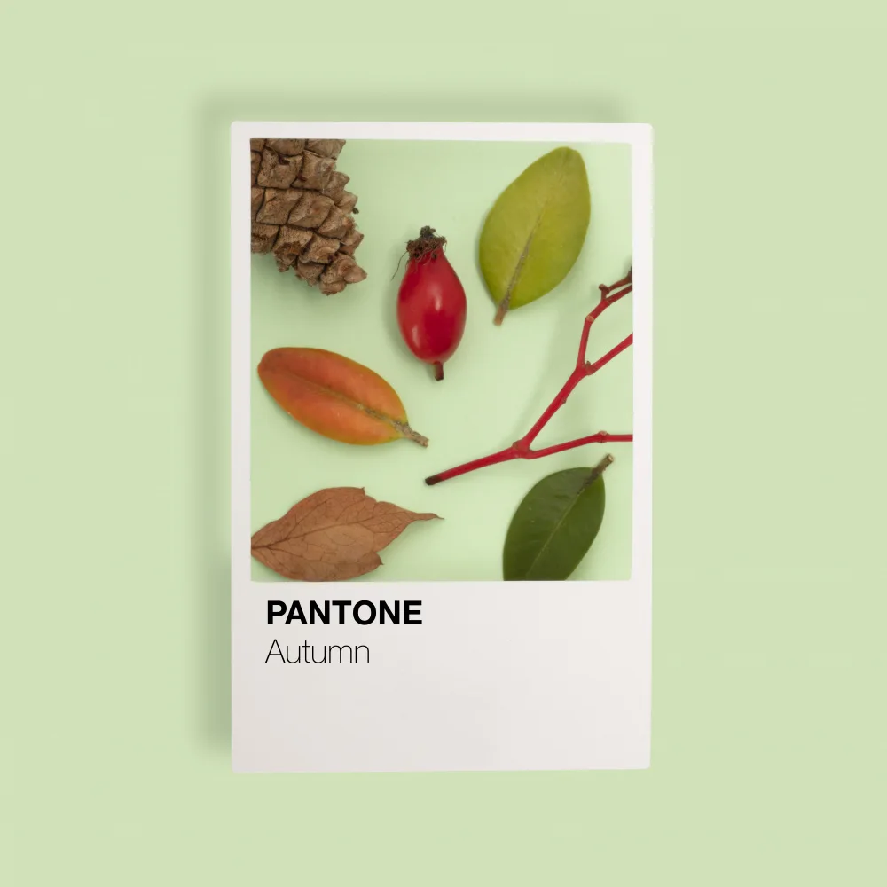 Ramiro, Julia: Automne
