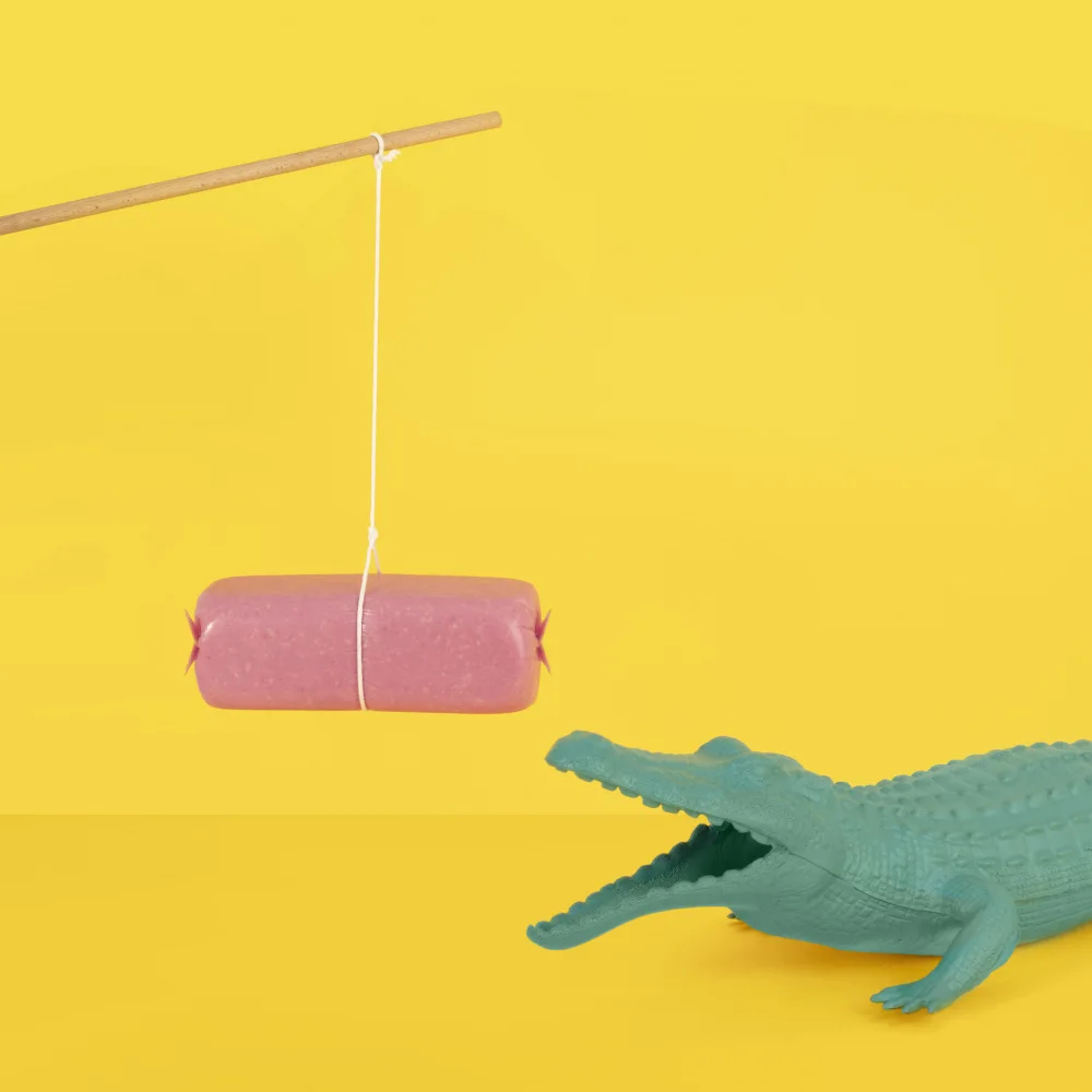Ramiro, Julia: Croco
