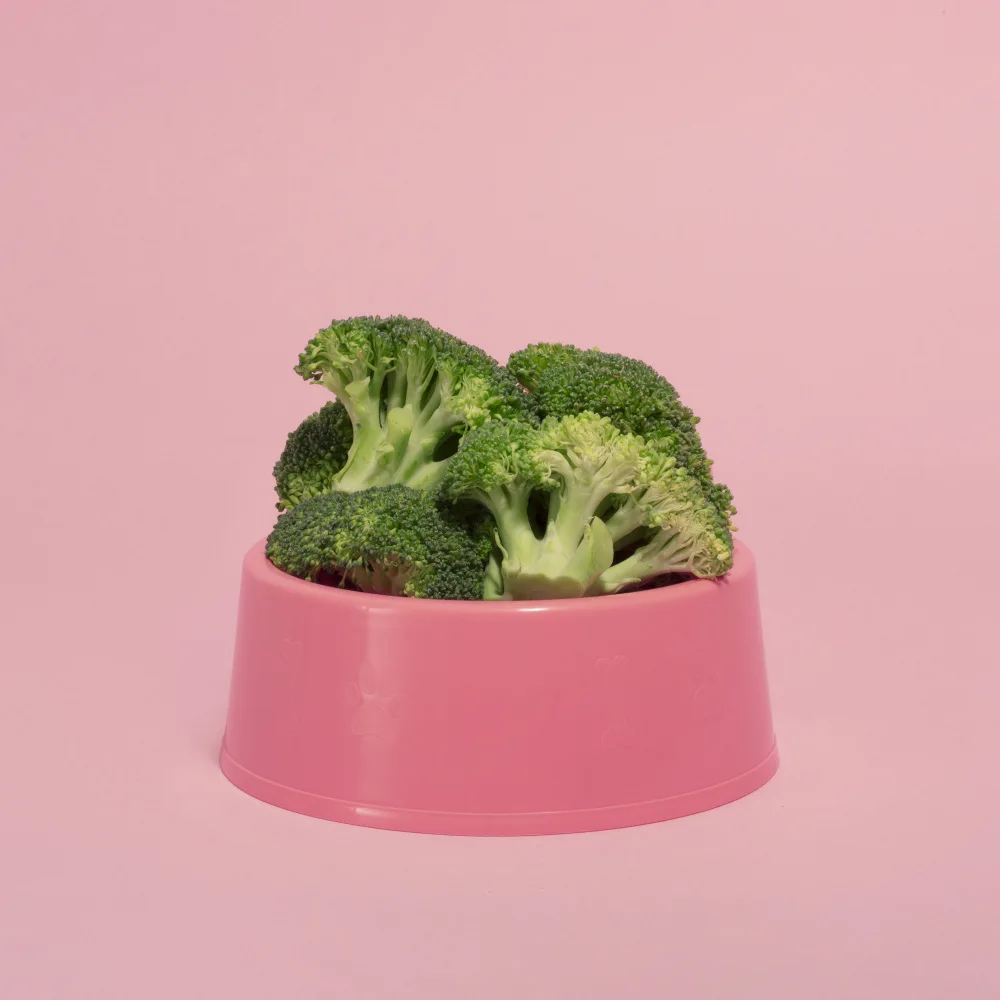 Ramiro, Julia: Brocoli.1