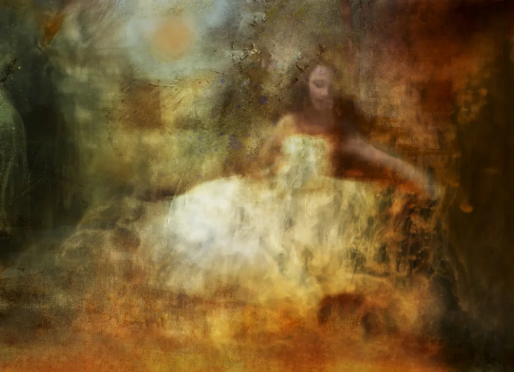 Pansky, Rachel: dance in the forest