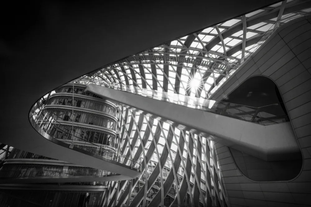 Lu, Linda: Lines and curves