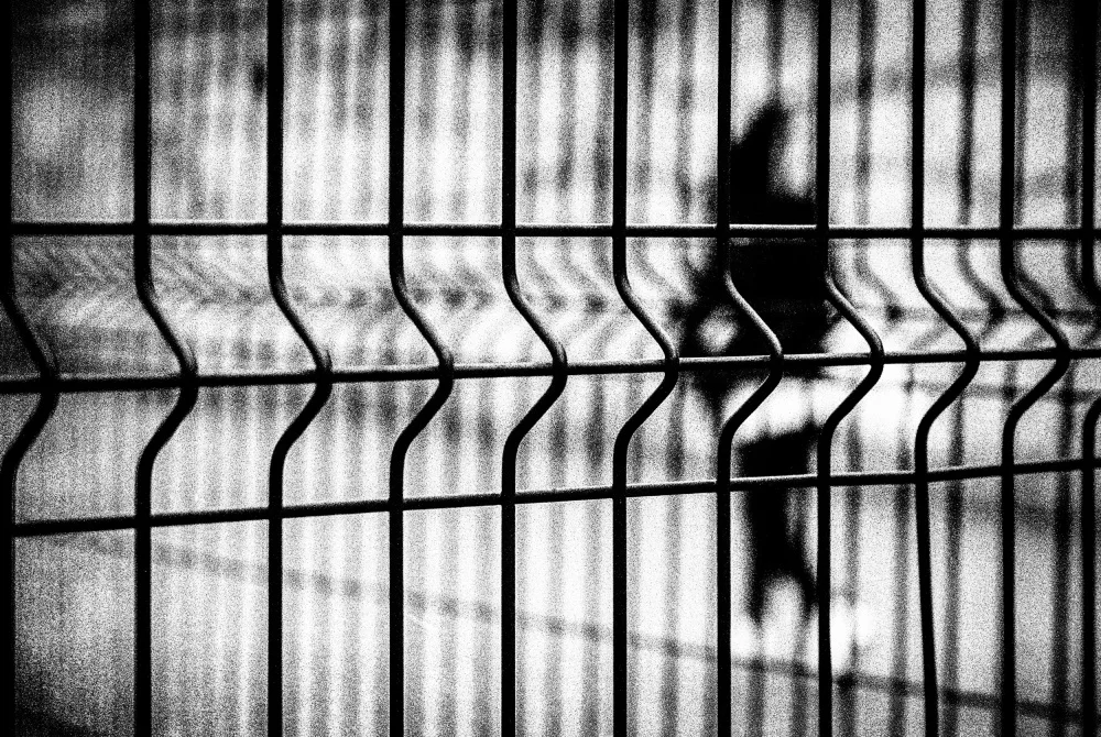 Abrantes, Paulo: Walking in Dreams