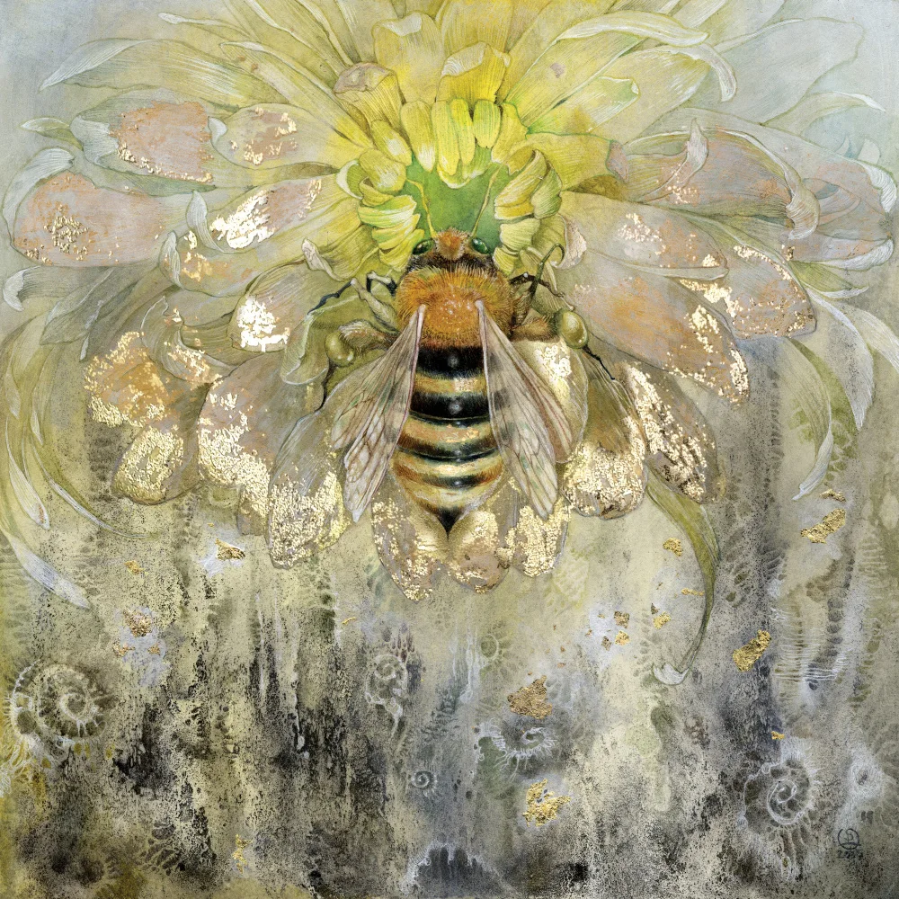Law, Stephanie: Honeybee