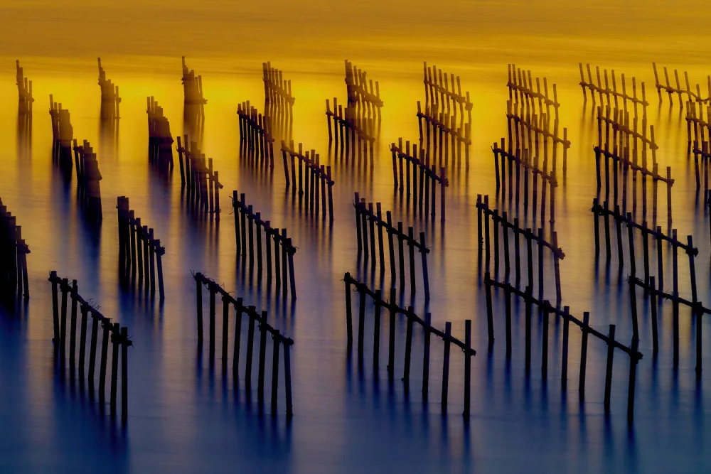Tsai, MingLun: oyster sheds light and shadow water flow