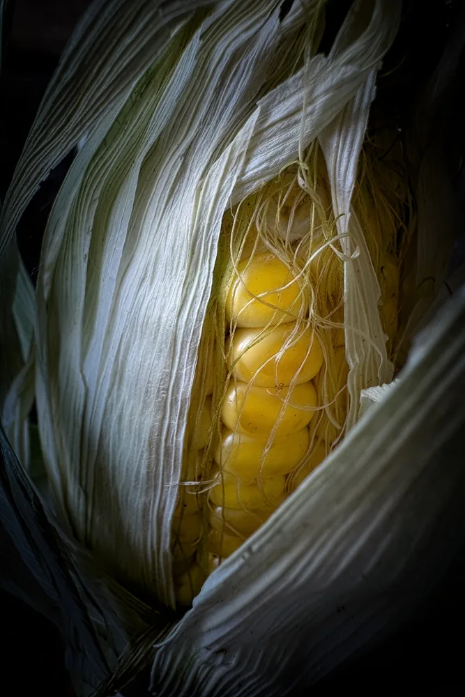 Kiral, Cicek: New Born Corn