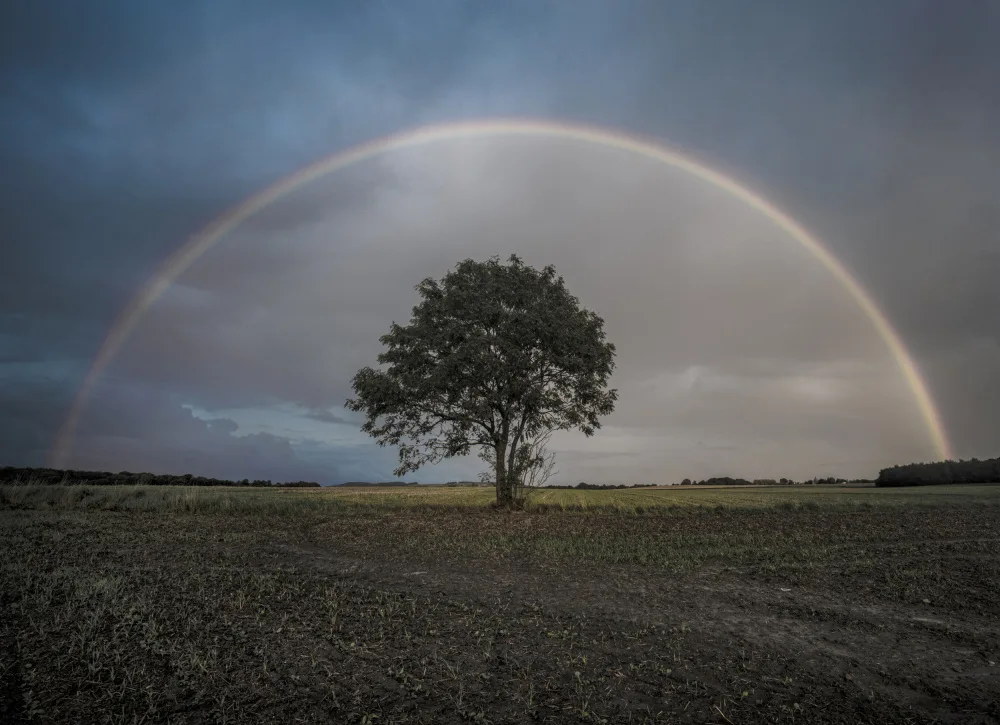 Lázare, Adrian: Atardecer de ensueño