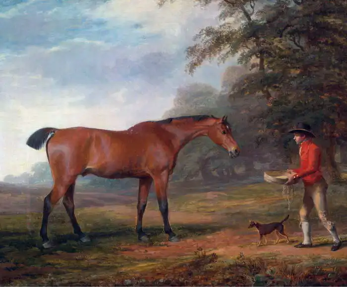 Garrard, George: The horse stable lad