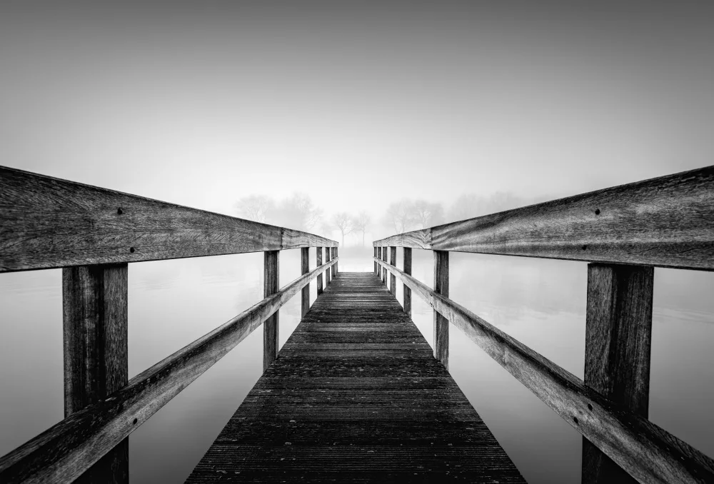 Staelens, Christophe: Losing sight