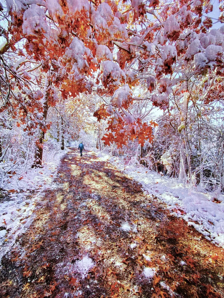 Hu, Mei: Il turno dell'autunno e dell'inverno