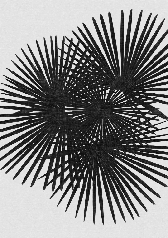 Studio, Orara: Ventilátor Palm Black & White