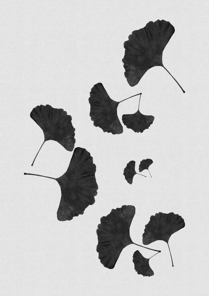 Studio, Orara: List Ginkgo Black & White I