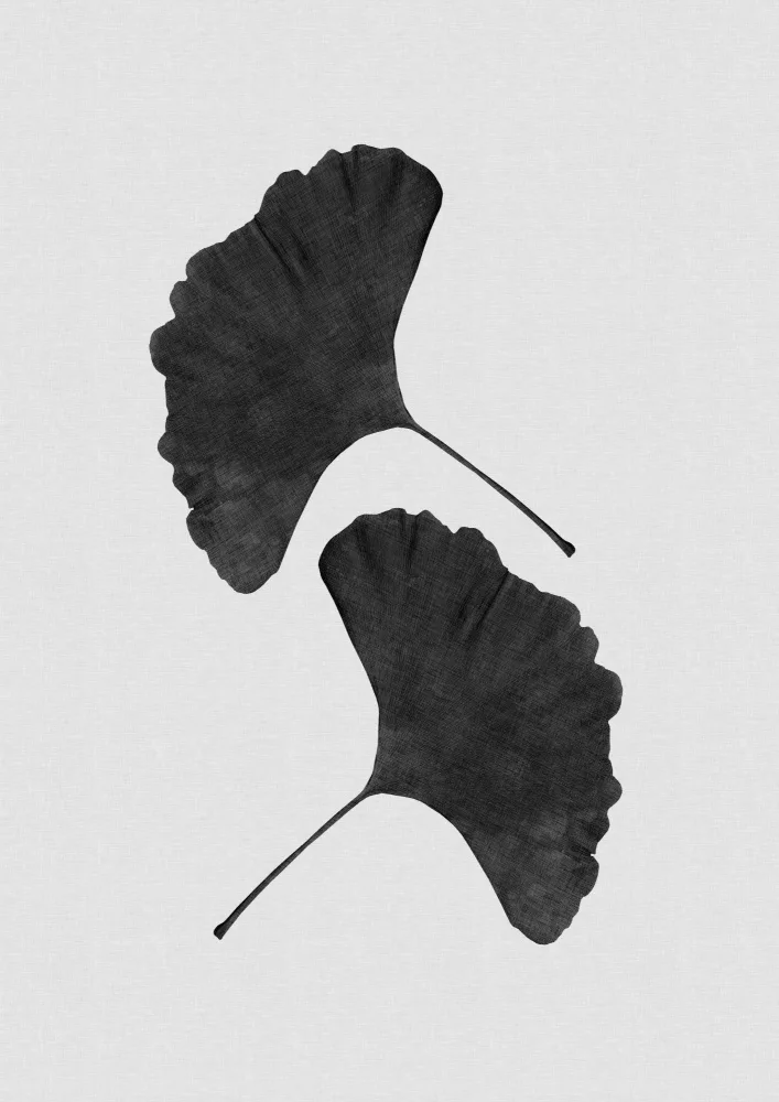 Studio, Orara: Ginkgo Leaf Black & White II