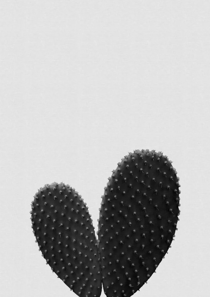 Studio, Orara: Heart Cactus Black & White