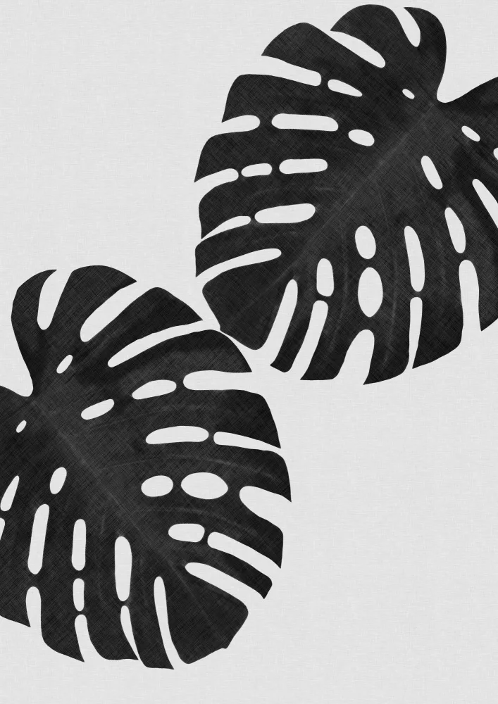 Studio, Orara: Monstera Leaf Black & White II