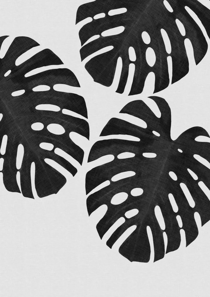 Studio, Orara: Monstera Leaf Black & White III