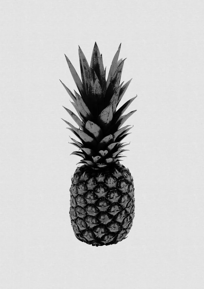 Studio, Orara: Pineapple Black & White