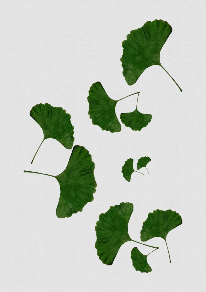 Studio, Orara: Ginkgoblatt I