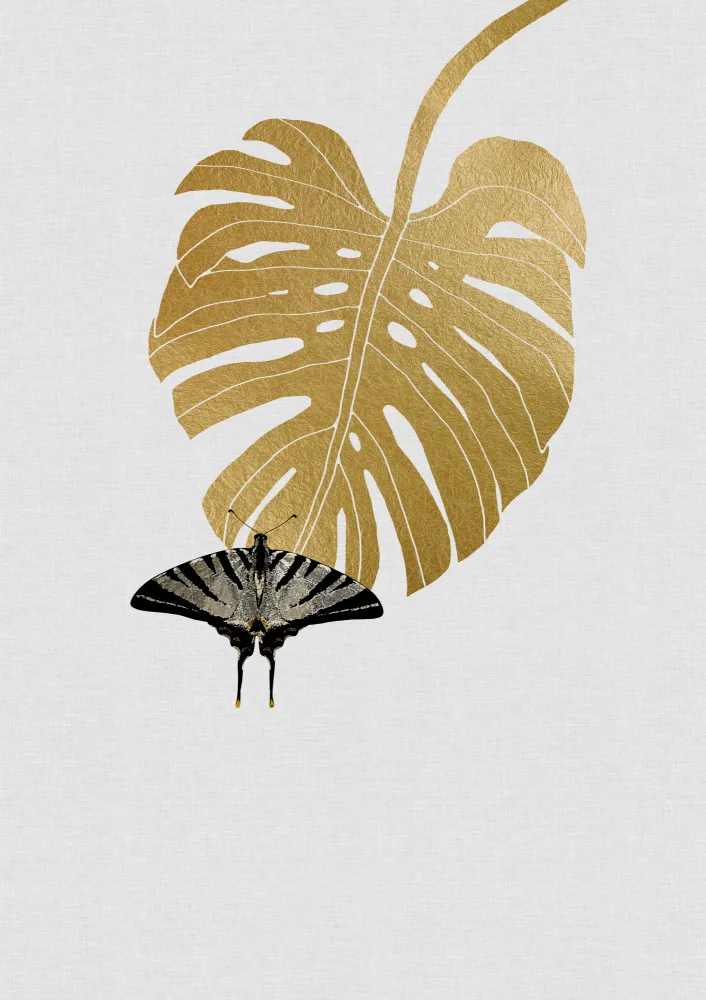 Studio, Orara: Butterfly & Monstera Leaf