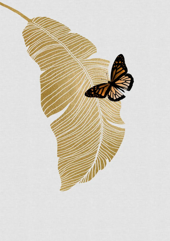 Studio, Orara: Butterfly & Palm Leaf
