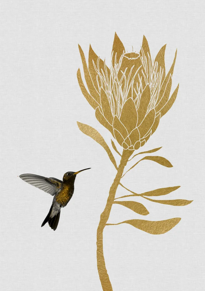 Studio, Orara: Colibrì e fiore I