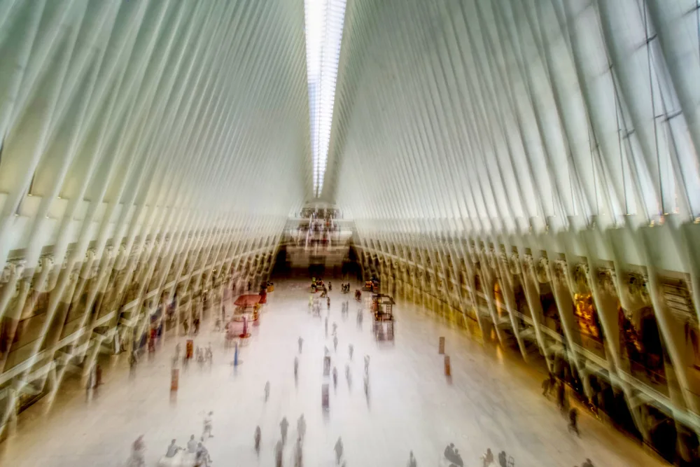 Szalay, Gregor: OCULUS v New Yorku