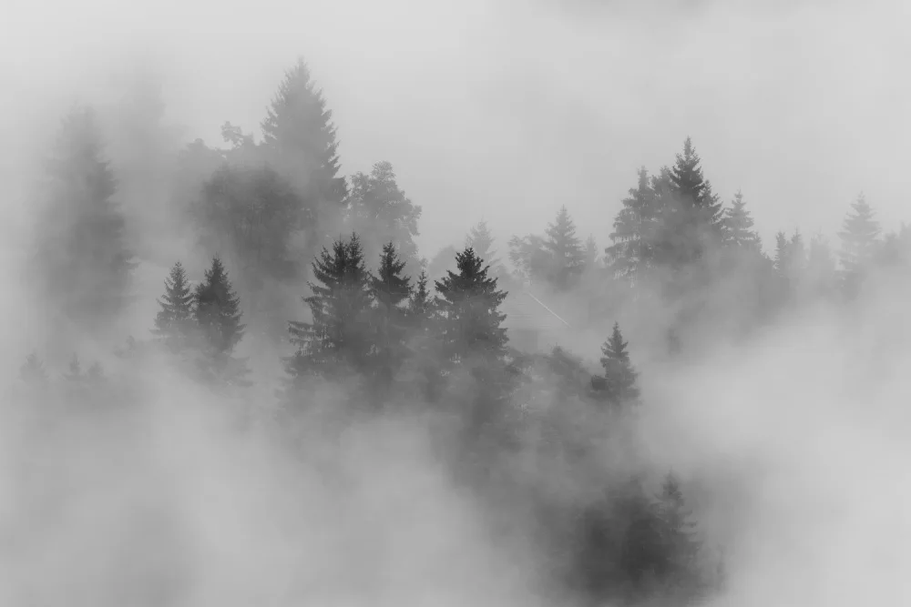 Dauer, Andy: autumn
