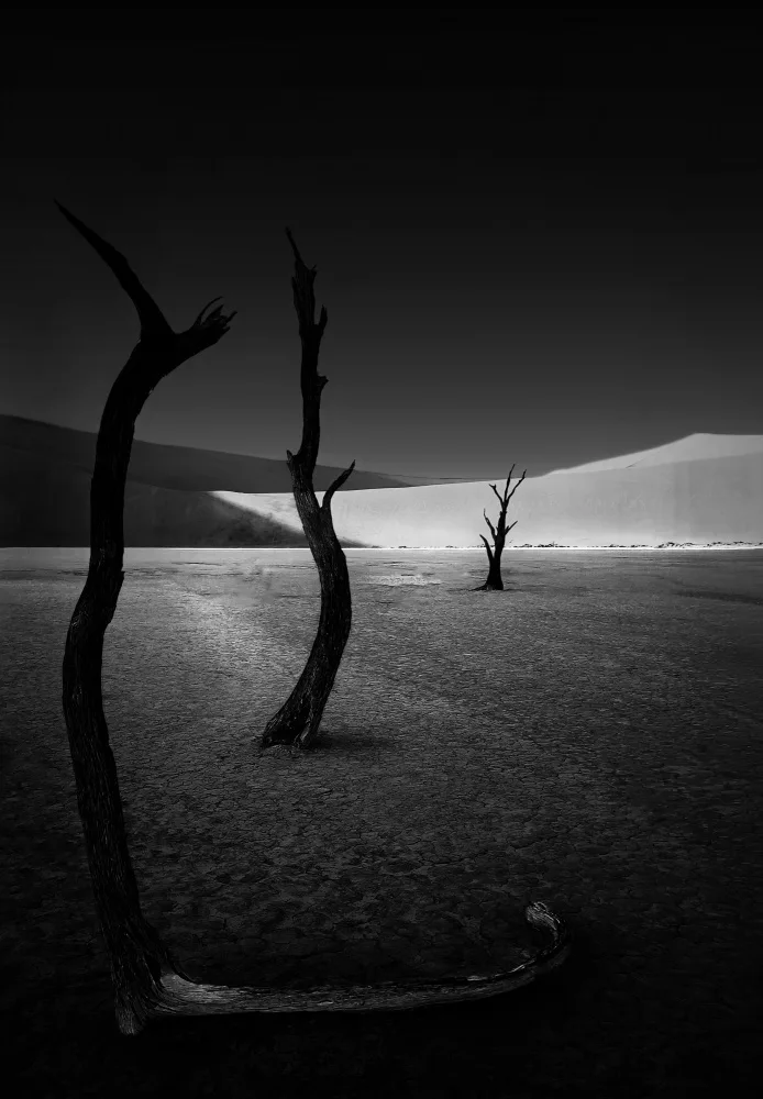 Jiao, Yang: The scorched tree at Sossusvlei