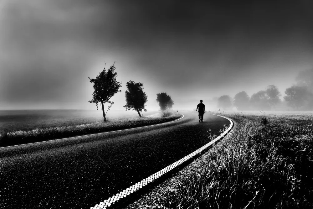 Kuavi, Robert: Dark Autumn VI