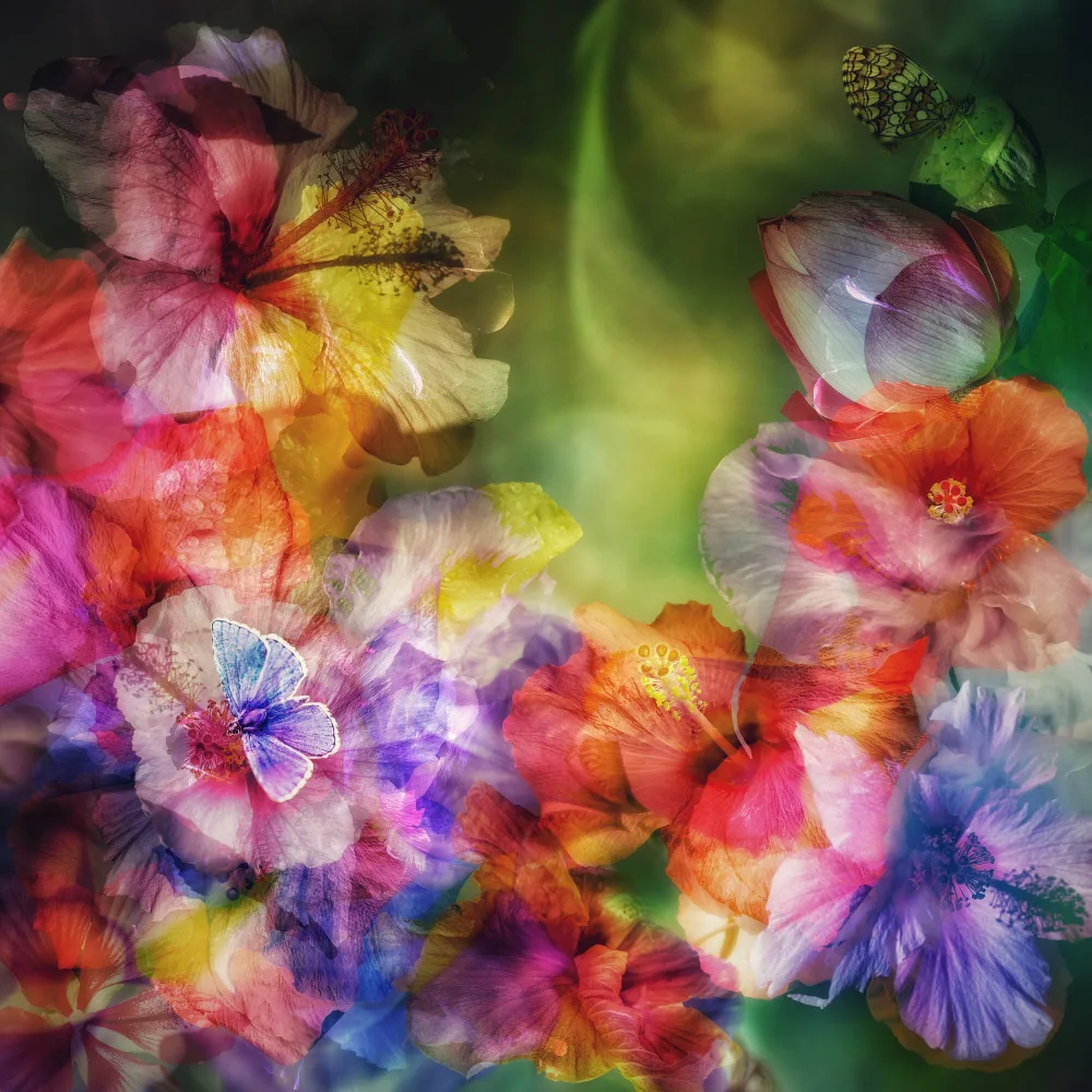 Shumilova, Ludmila: Moving light