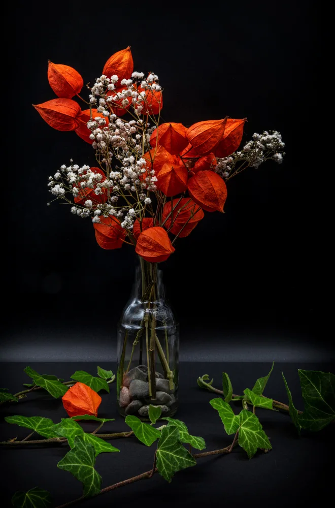 Zimmermann, Urs: red