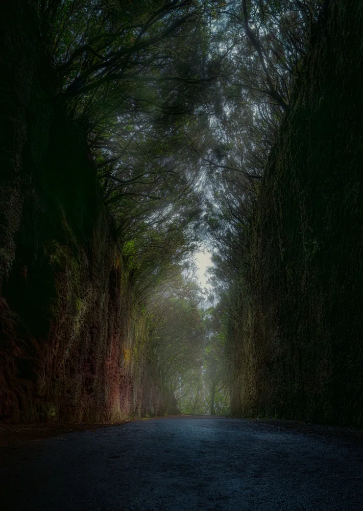Martínez, Hernández Carlos: Mysterious road