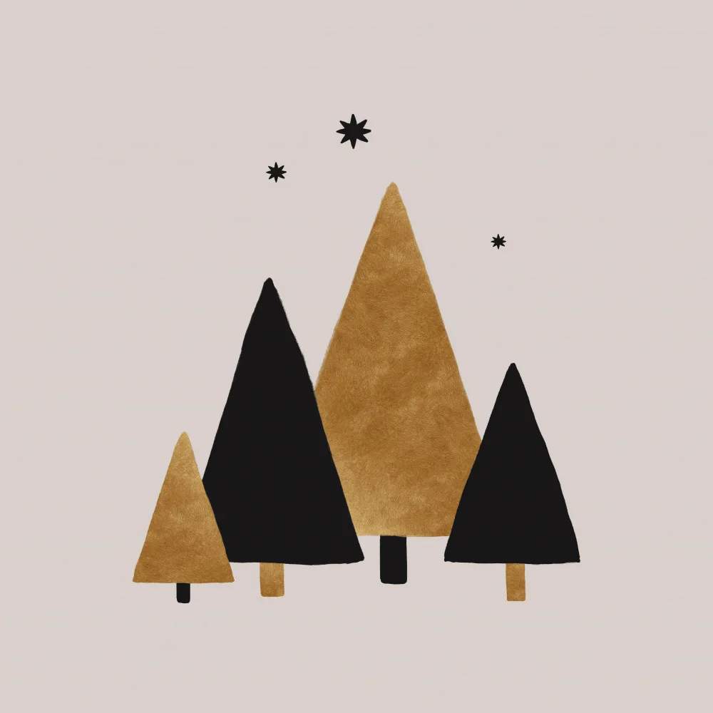 Studio, Orara: Alberi e stelle di Natale