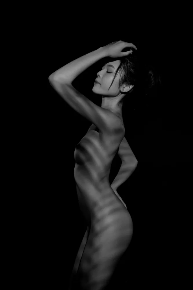 Truong, Van Tran: NUDO ARTISTICO