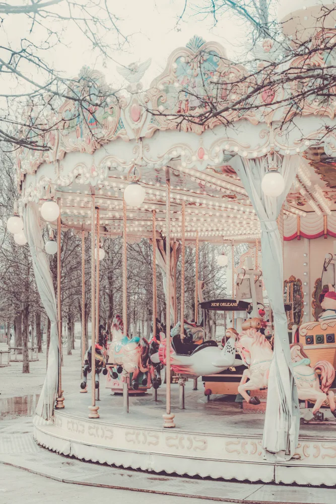 Art, Digital Grace: Paris Carousel III