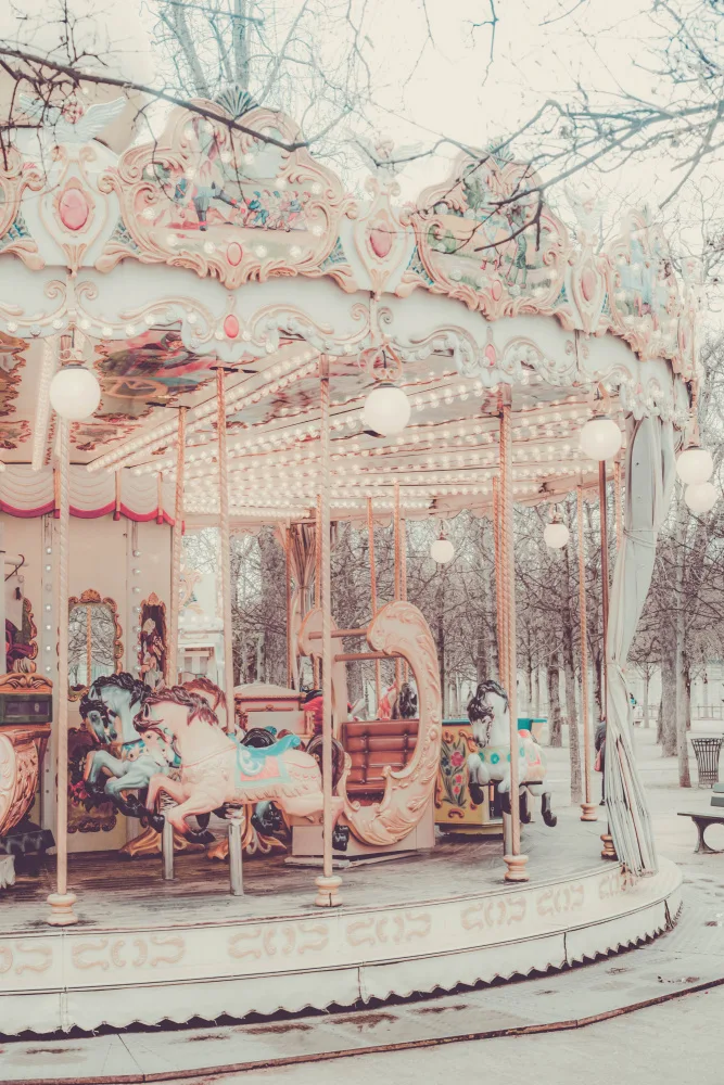 Art, Digital Grace: Paris Carousel II