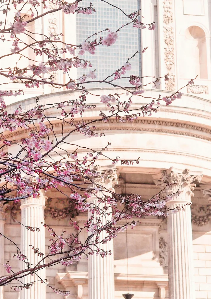 Art, Digital Grace: London Blossom