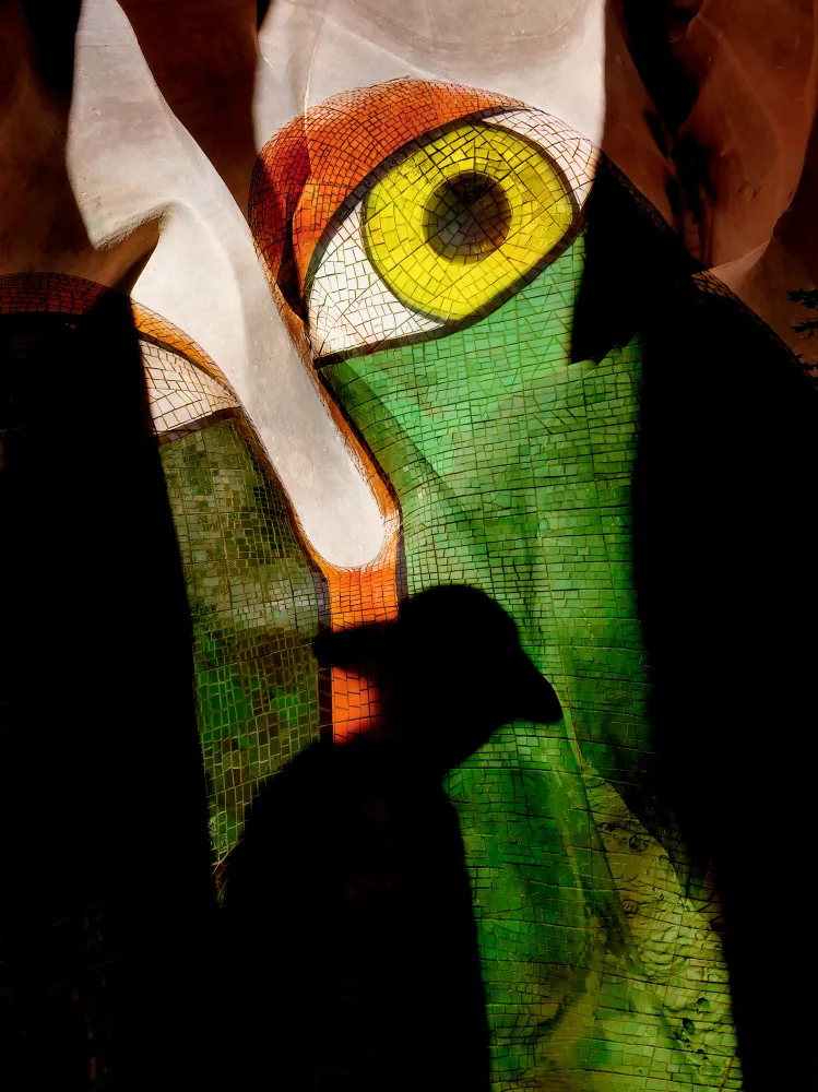 Dou, Shenshen: The watching eye