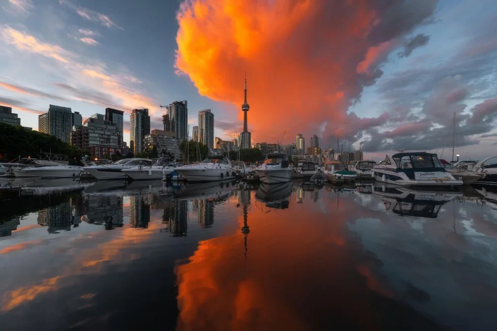 Zhang, Steve: Brucia a Toronto
